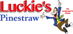 Luckie's Pinestraw — The Landscaper's Choice